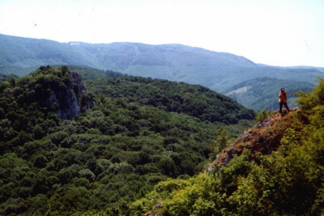 photo03.jpg