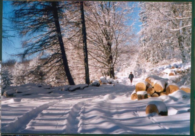 photo16.jpg