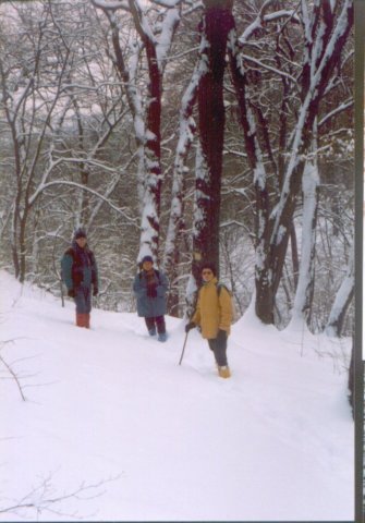 photo29.jpg