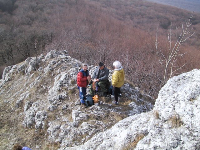 photo019.jpg