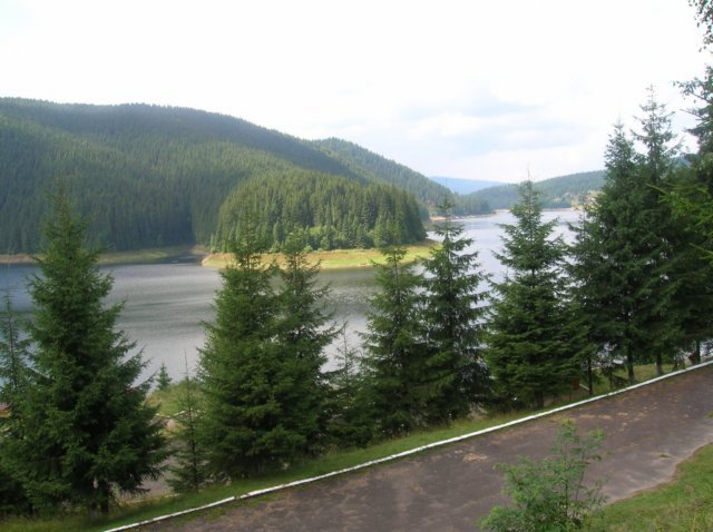 photo08.jpg
