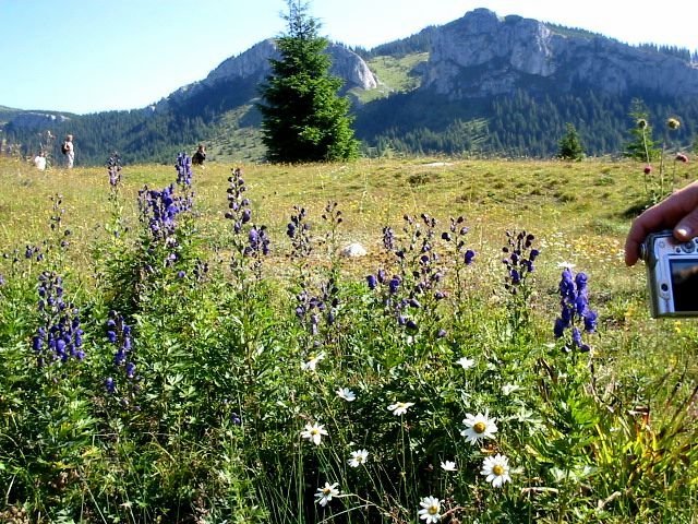 photo43.jpg