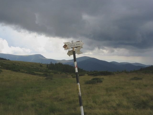 photo50.jpg