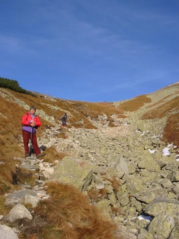photo47.jpg