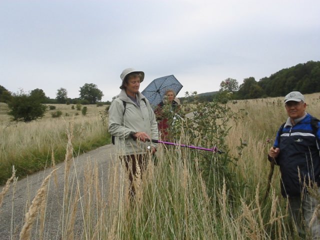 photo010.jpg