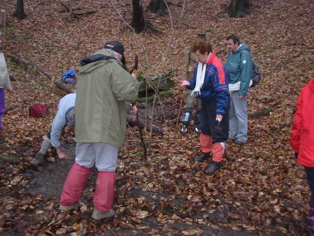photo076.jpg