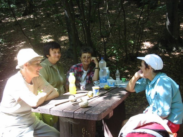photo079.jpg