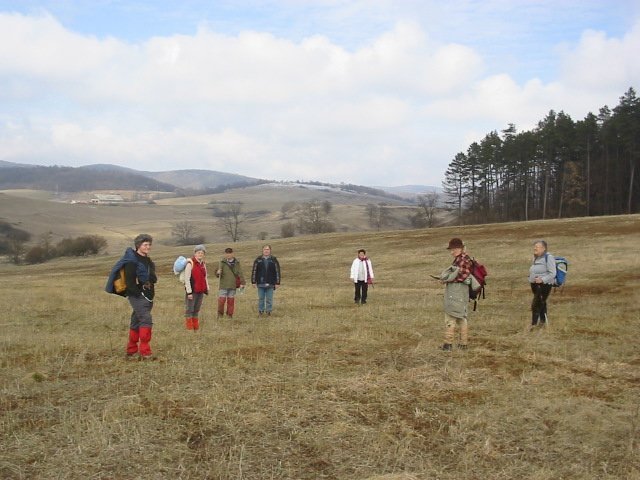 photo090.jpg