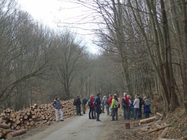 photo039.jpg