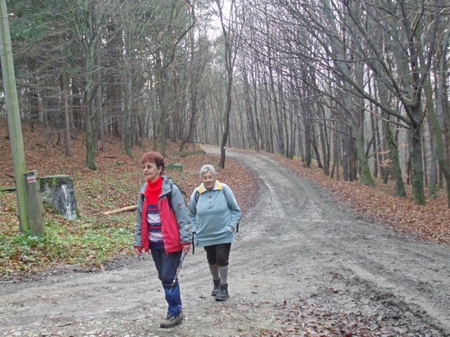 photo056.jpg