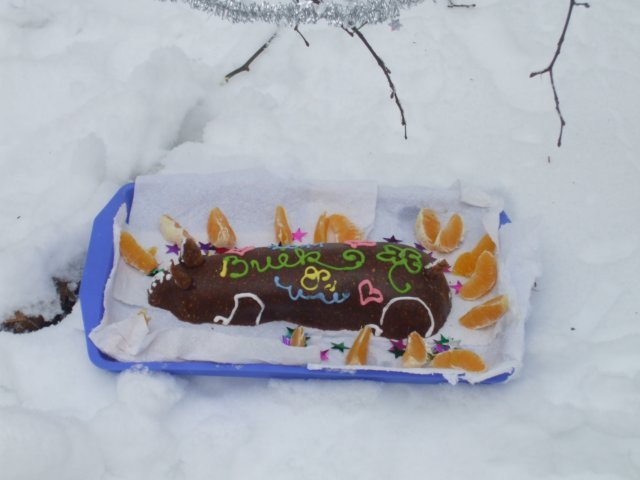 photo117.jpg