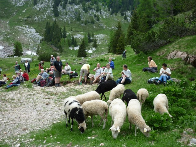 photo32.jpg