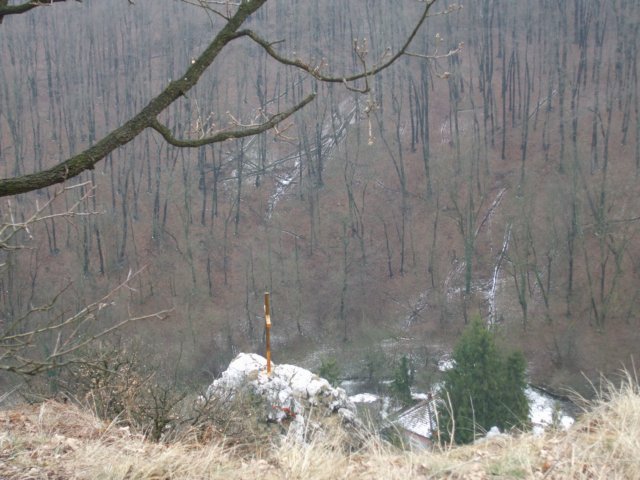 photo71.jpg