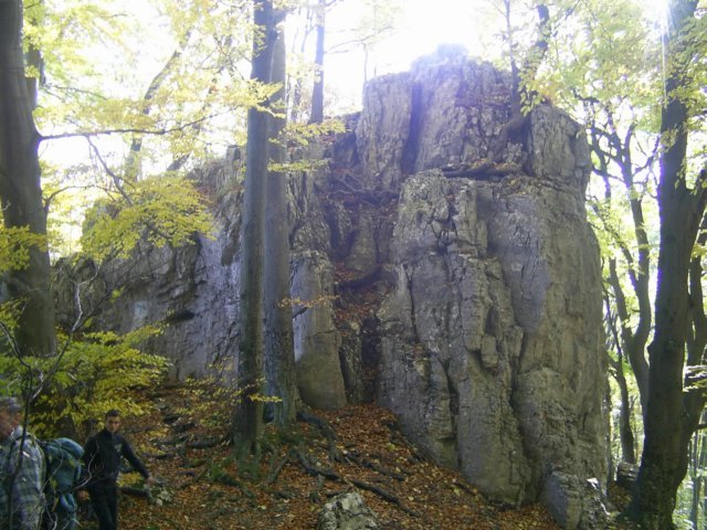 photo022.jpg