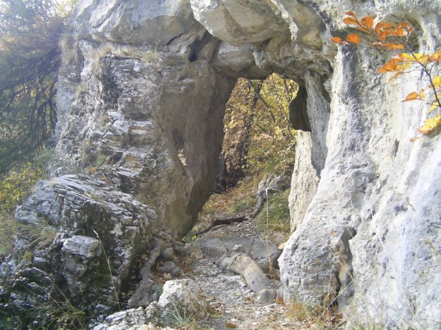 photo032.jpg