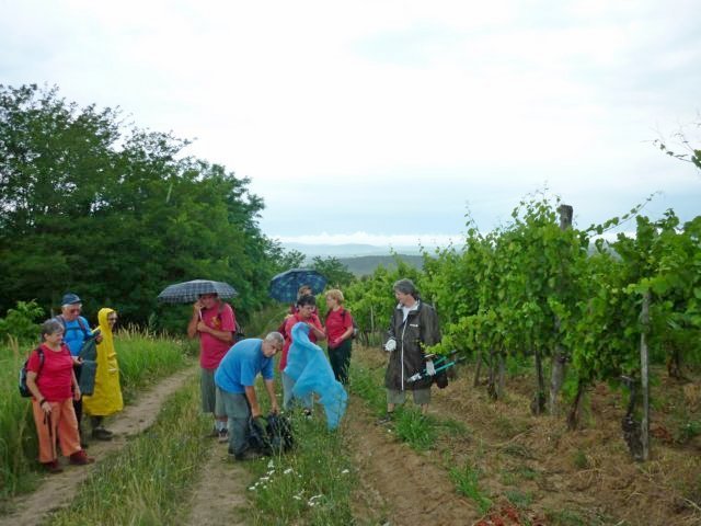 photo079.jpg