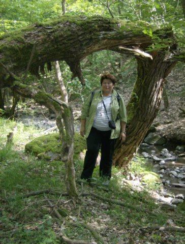 photo02.jpg