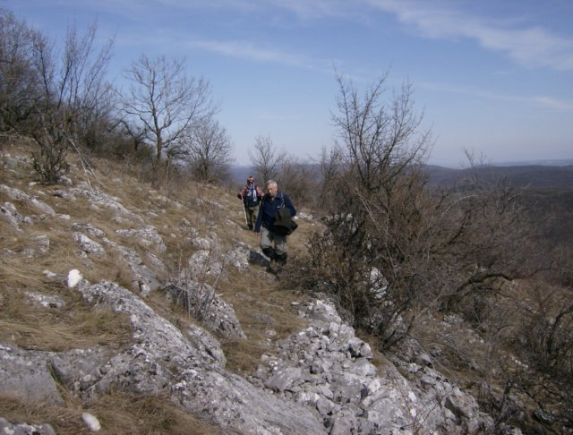 photo22.jpg