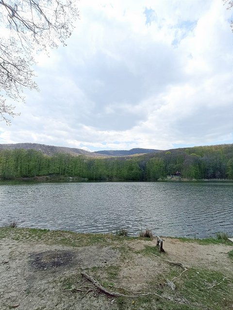 photo015.jpg
