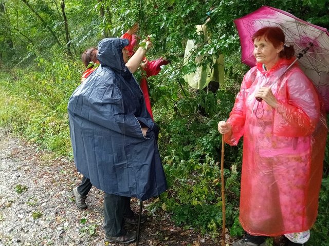 photo079.jpg
