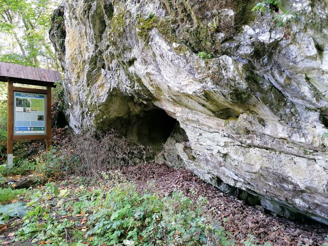 photo105.jpg