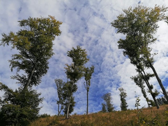 photo153.jpg