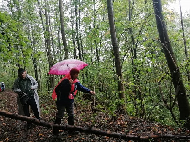 photo171.jpg
