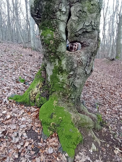 photo_004.jpg