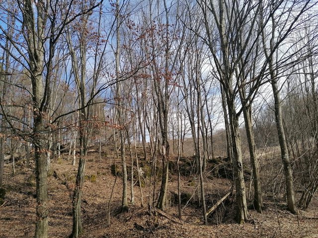 photo_207.jpg