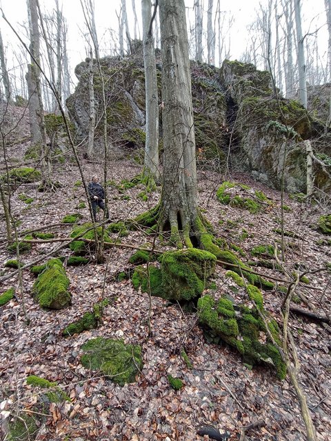 photo_319.jpg