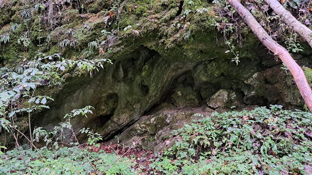 photo137.jpg