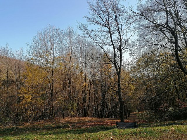 photo167.jpg