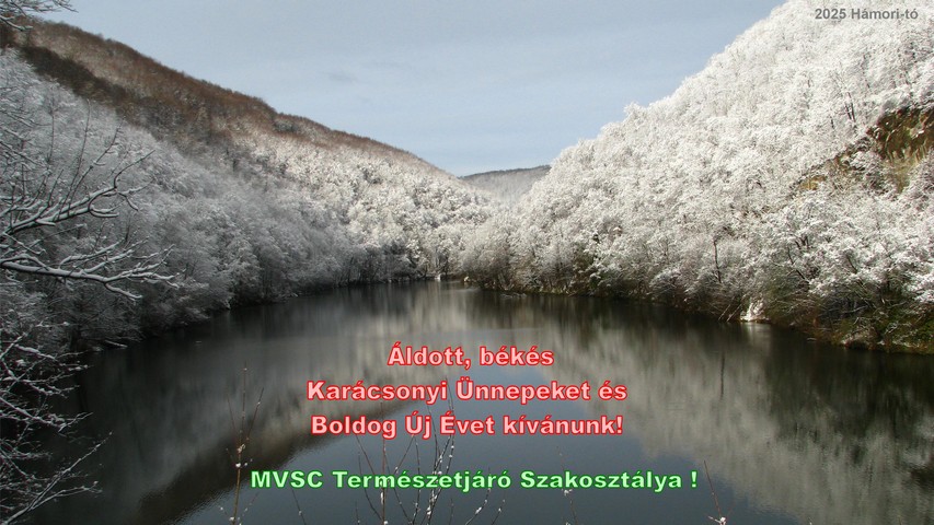 Újévi üdvözlőlap